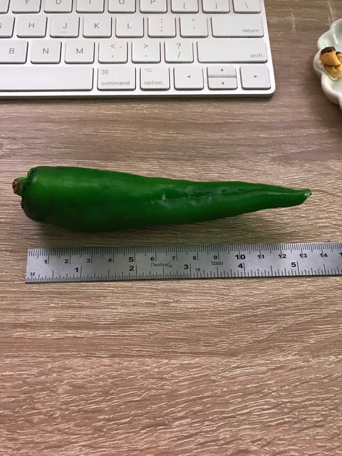 Chili Pepper Magnet Green