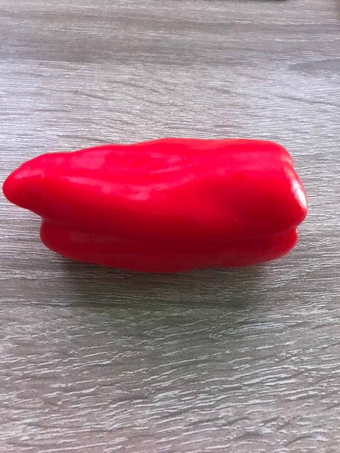 Bell Pepper Magnet Red