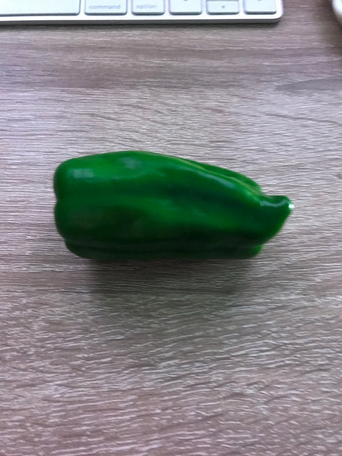 Bell Pepper Magnet Green