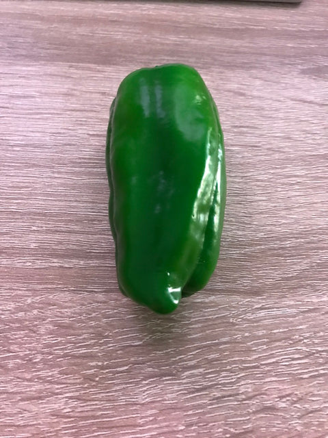 Bell Pepper Magnet Green
