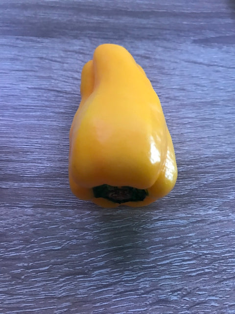 Bell Pepper Magnet Yellow
