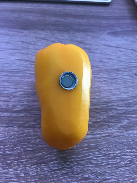 Bell Pepper Magnet Yellow