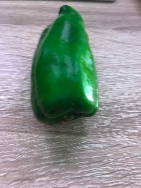 Bell Pepper Magnet Green