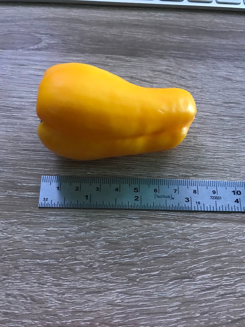 Bell Pepper Magnet Yellow