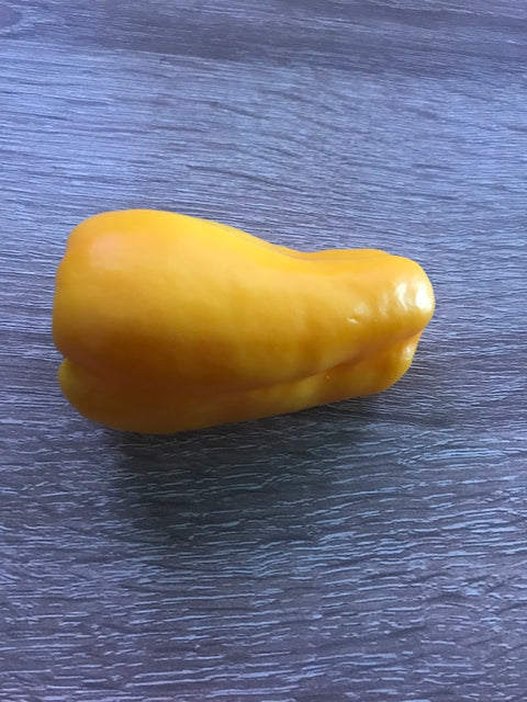 Bell Pepper Magnet Yellow