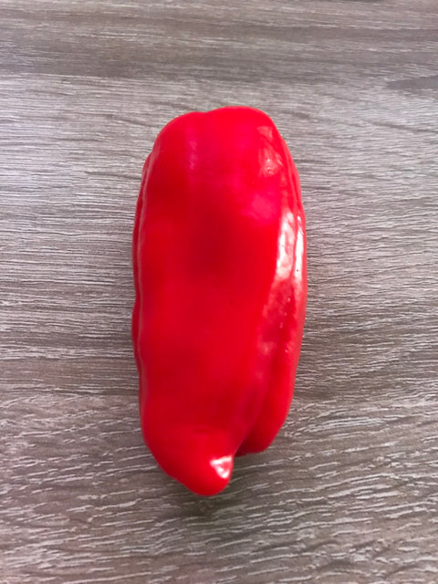 Bell Pepper Magnet Red