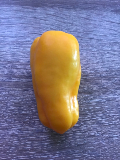Bell Pepper Magnet Yellow