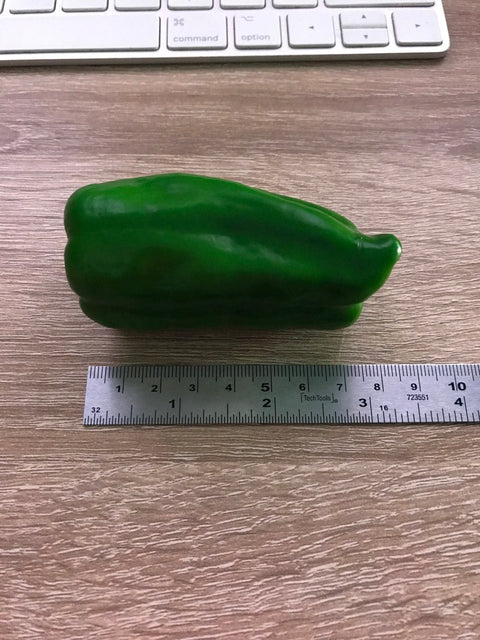 Bell Pepper Magnet Green