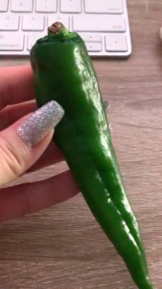 Chili Pepper Magnet Green