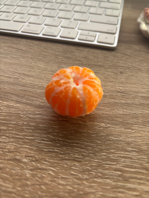 Mandarin Orange Magnet Cute mini