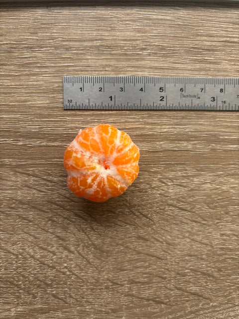 Mandarin Orange Magnet Cute mini