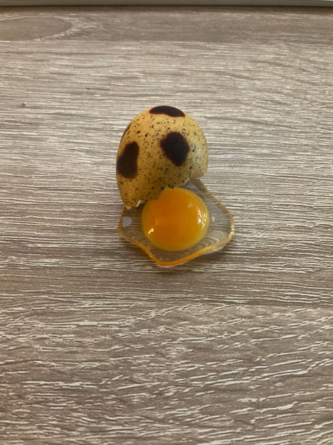 Cracked Quail Egg Magnet