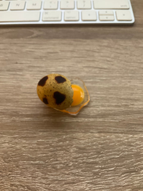 Cracked Quail Egg Magnet