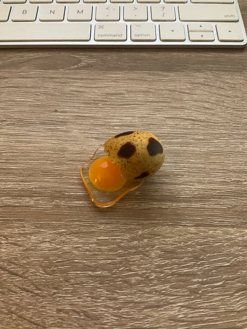 Cracked Quail Egg Magnet