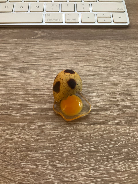 Cracked Quail Egg Magnet