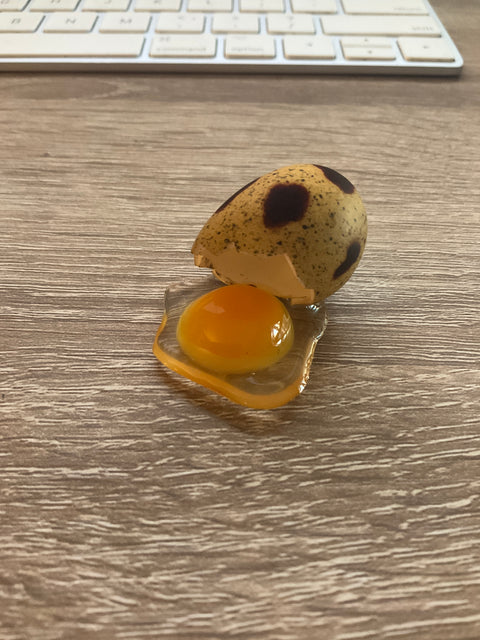 Cracked Quail Egg Magnet