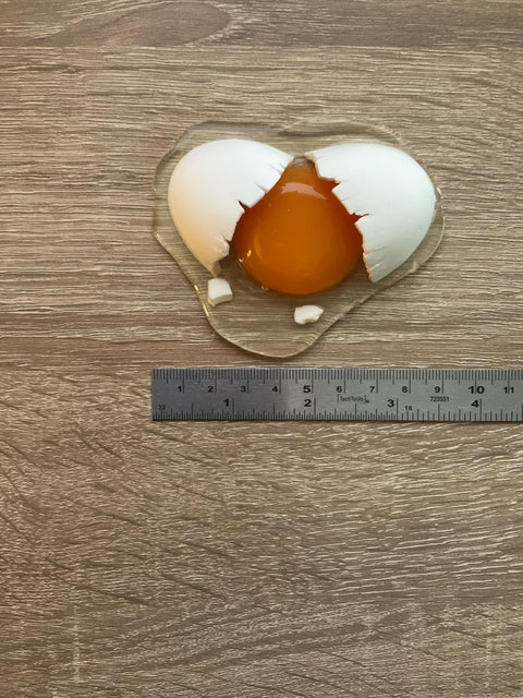 Cracked White Egg Magnet