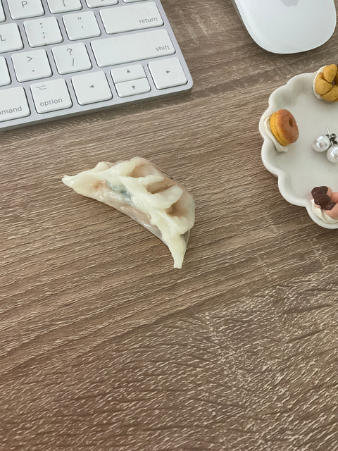 Dumpling Magnet/Potsticker Magnet