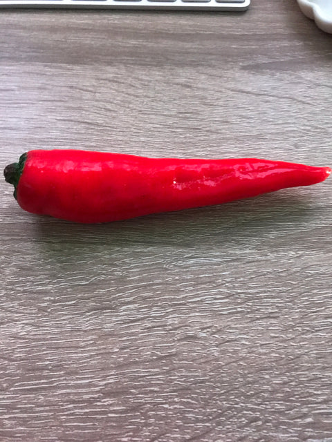Chili Pepper Magnet Red