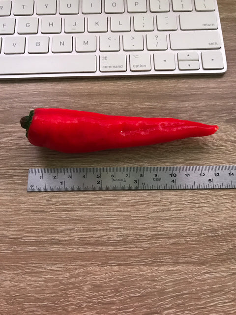 Chili Pepper Magnet Red
