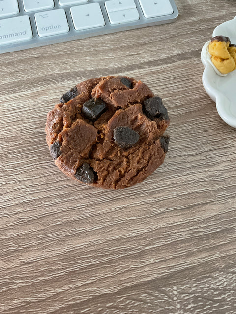 Chocolate Chocolate Chip Cookie Magnet